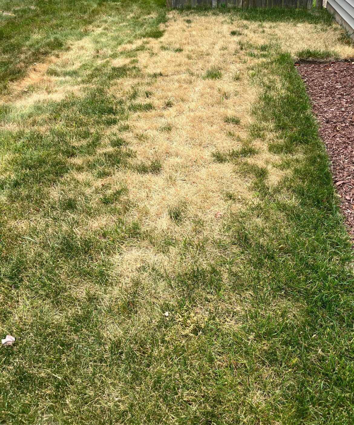 Guess who forgot to rinse out the roundup? 6B Guess who forgot to rinse out the roundup? 6B