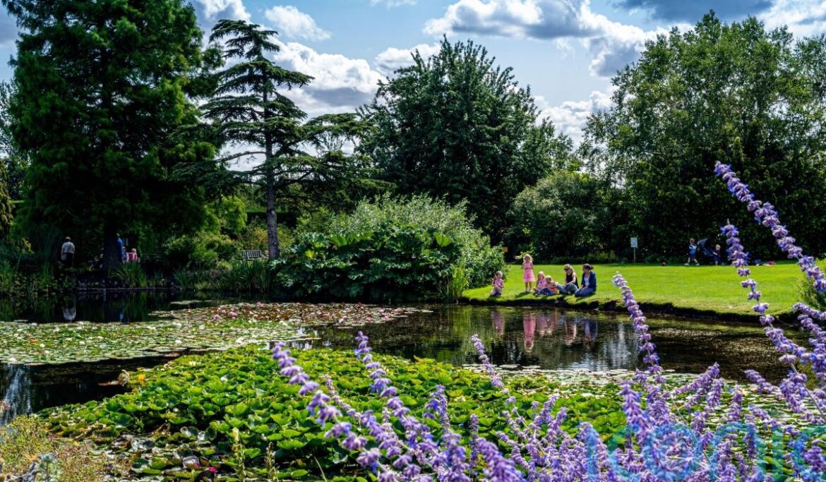 Family-friendly summer gardens to visit