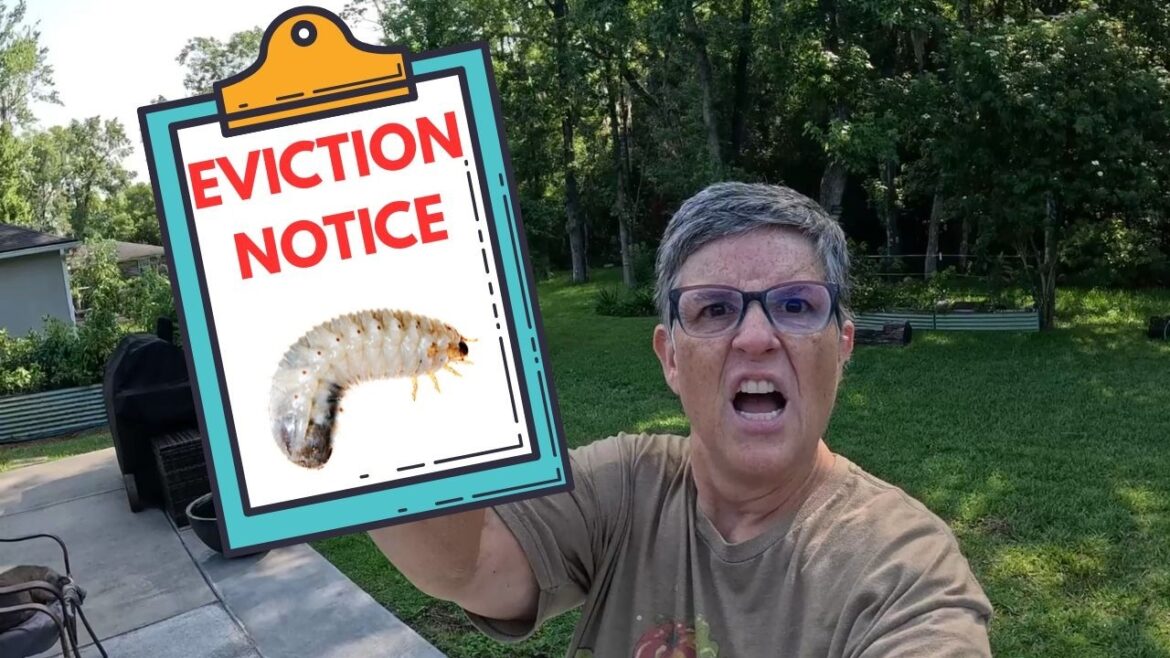 Grubs in the Garden? Using Beneficial Nematodes To Get Rid of the Grubs