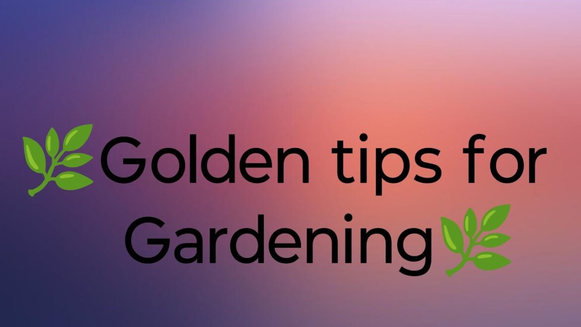 Golden tips for Gardening 🌿#live #livevideo
