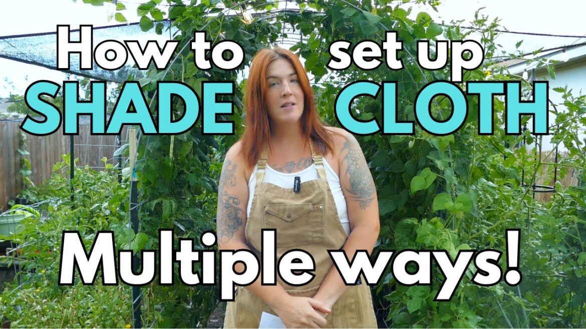 How to hang shade cloth in the garden: 101 How to hang shade cloth in the garden: 101