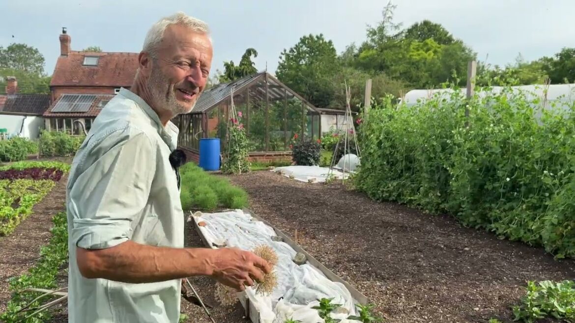 4 Easy Composting Methods to Transform Waste into Rich Mulch & Potting Mix | No Dig Gardening Tips