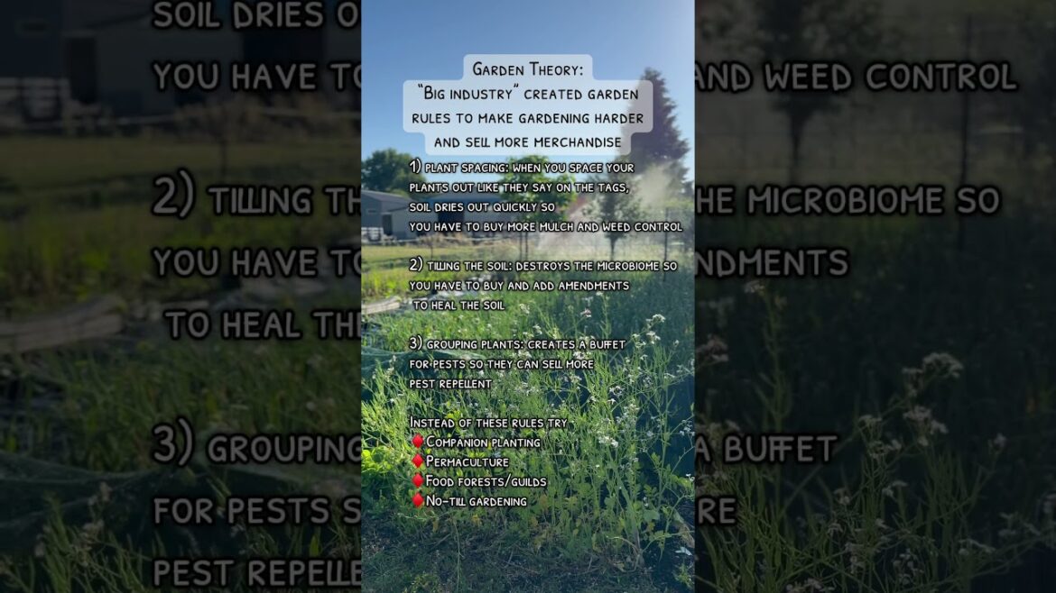 Garden Conspiracy Theory: they made up rules to sell more garden supplies