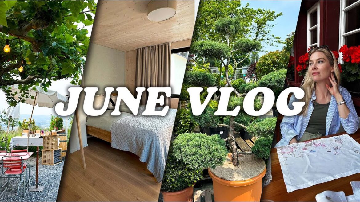 Guest Room Progress, Garden Plans & Flea Market Finds | June Vlog Guest Room Progress, Garden Plans & Flea Market Finds | June Vlog