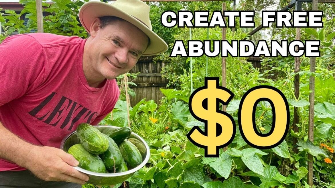 How I’m Starting a Self-Sufficient Garden on 800m² How I’m Starting a Self-Sufficient Garden on 800m²