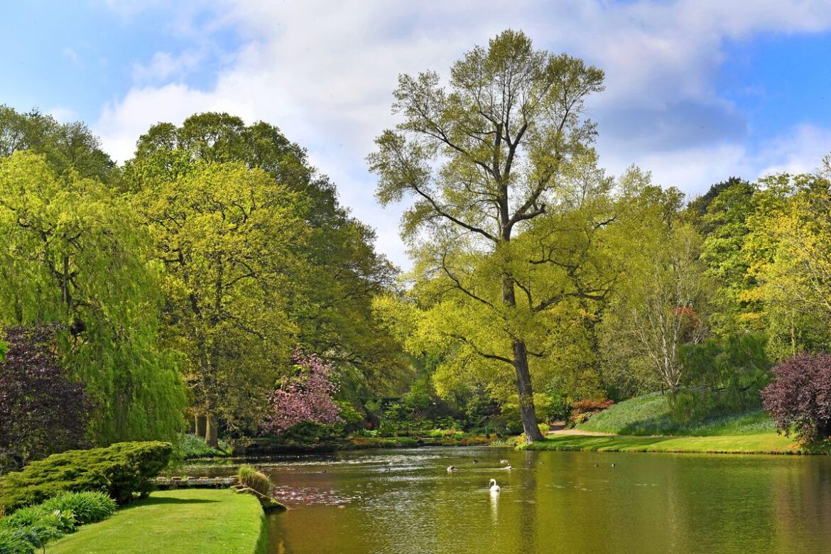 One of Shropshire’s most beautiful estates is opening up to visitors this weekend – and you’re invited – see when you can explore the grounds Head gardener Marvin Challinor