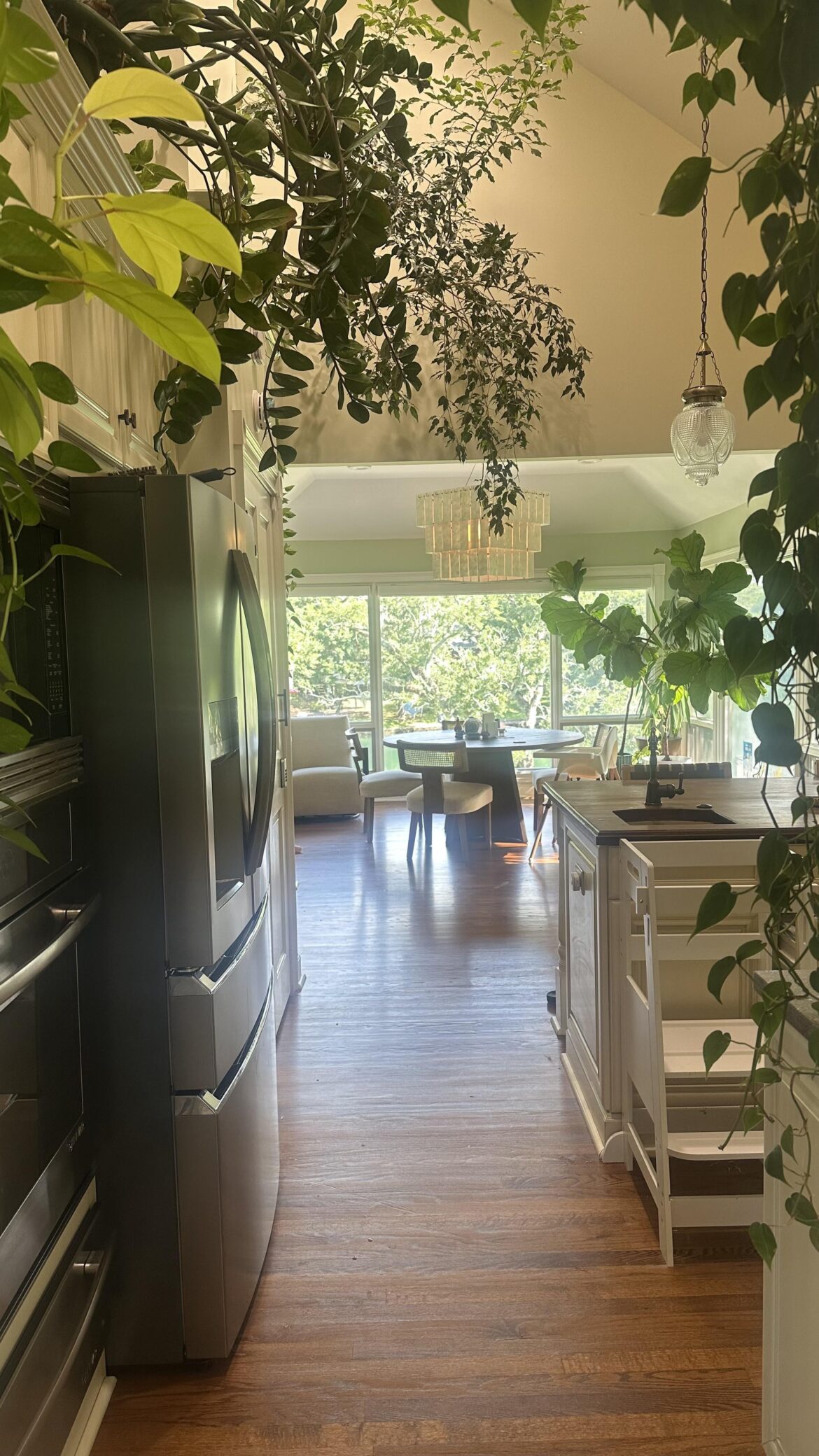 3 Years of Kitchen Plants