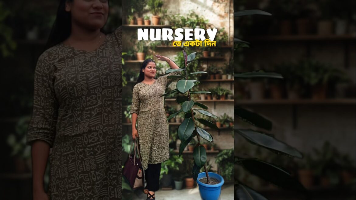 50 টাকাতেই যেকোনো গাছ 😱🪴 #shorts #bengali #minivlog #gardening