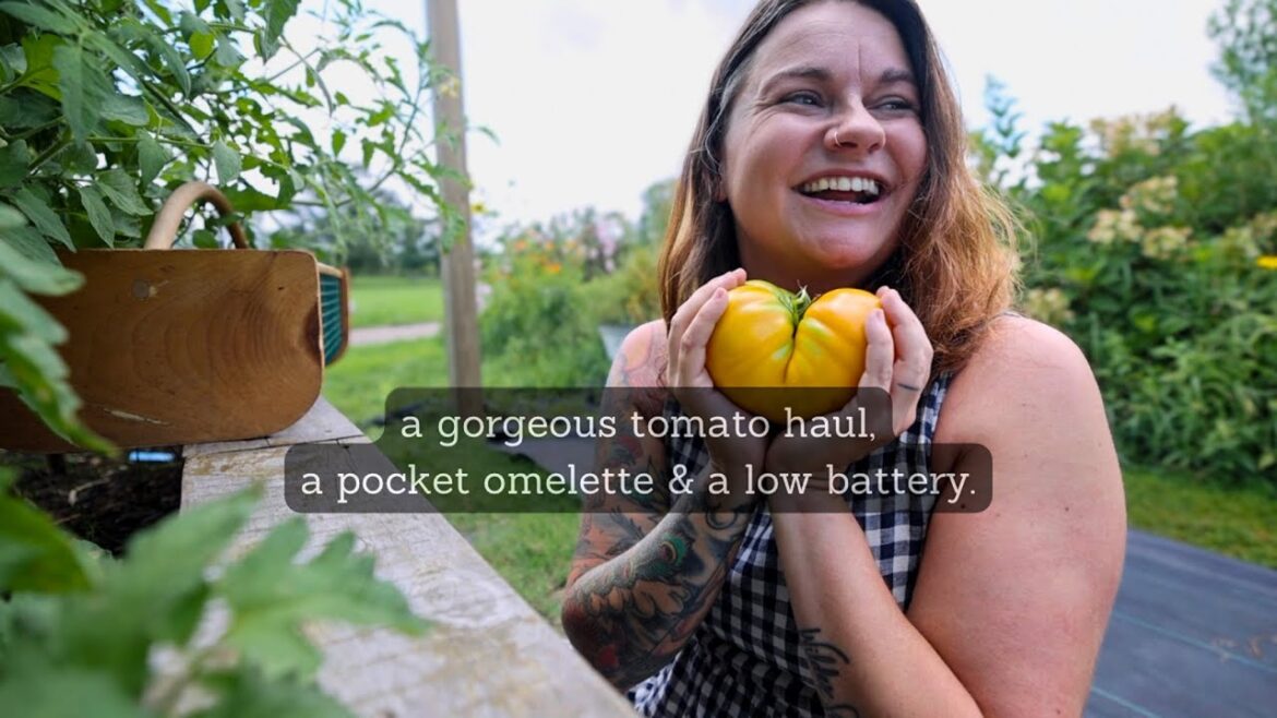 Roots and Refuge Farm: A gorgeous tomato haul, a pocket omelette, & a low battery | VLOG A gorgeous tomato haul, a pocket omelette, & a low battery | VLOG