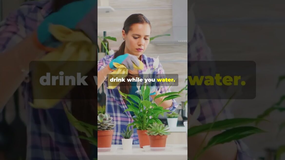 Best Fertilizer Techniques to Revitalize Your Container Garden! Best Fertilizer Techniques to Revitalize Your Container Garden!