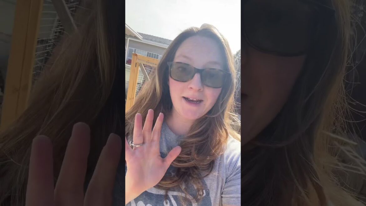 Beginner Gardening Supplies #gardening #backyardhomesteading #garden #homesteadgarden Beginner Gardening Supplies #gardening #backyardhomesteading #garden #homesteadgarden