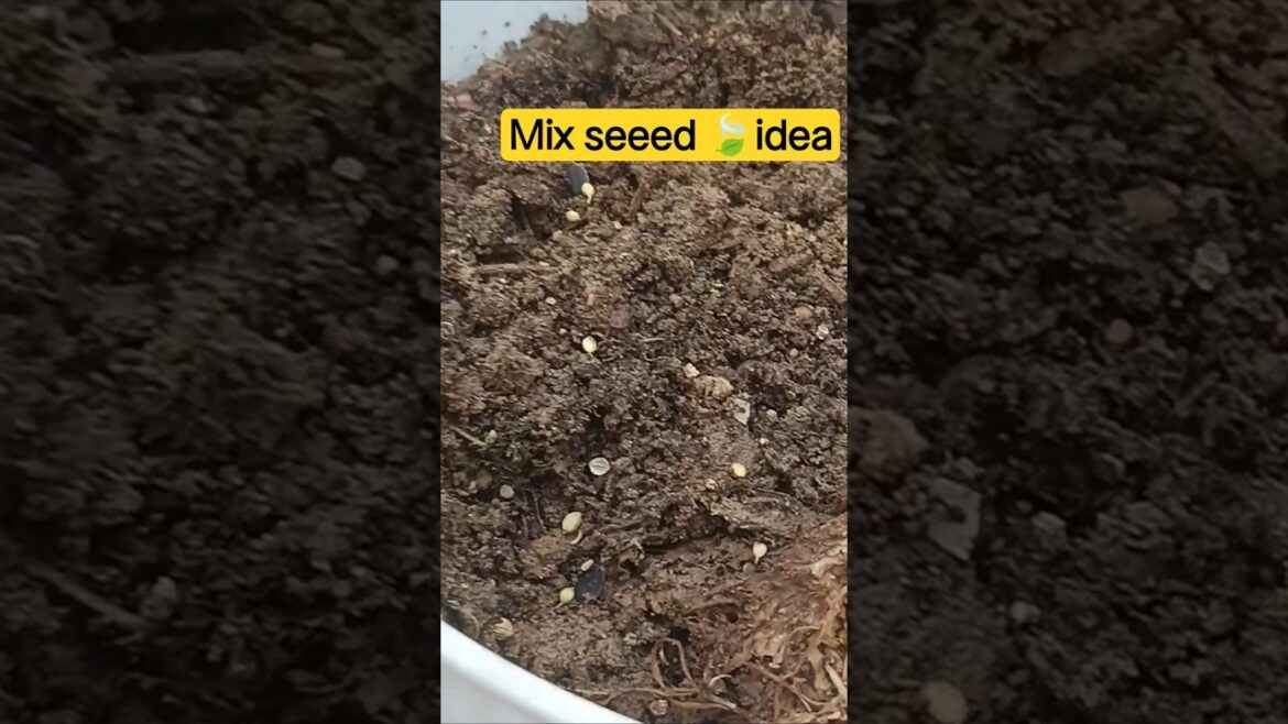 "Mix Seeds Se Kya Kya Ugta Hai? 🌱 | Chana, Aloo Ki Sabzi & More | Gardening Shorts"