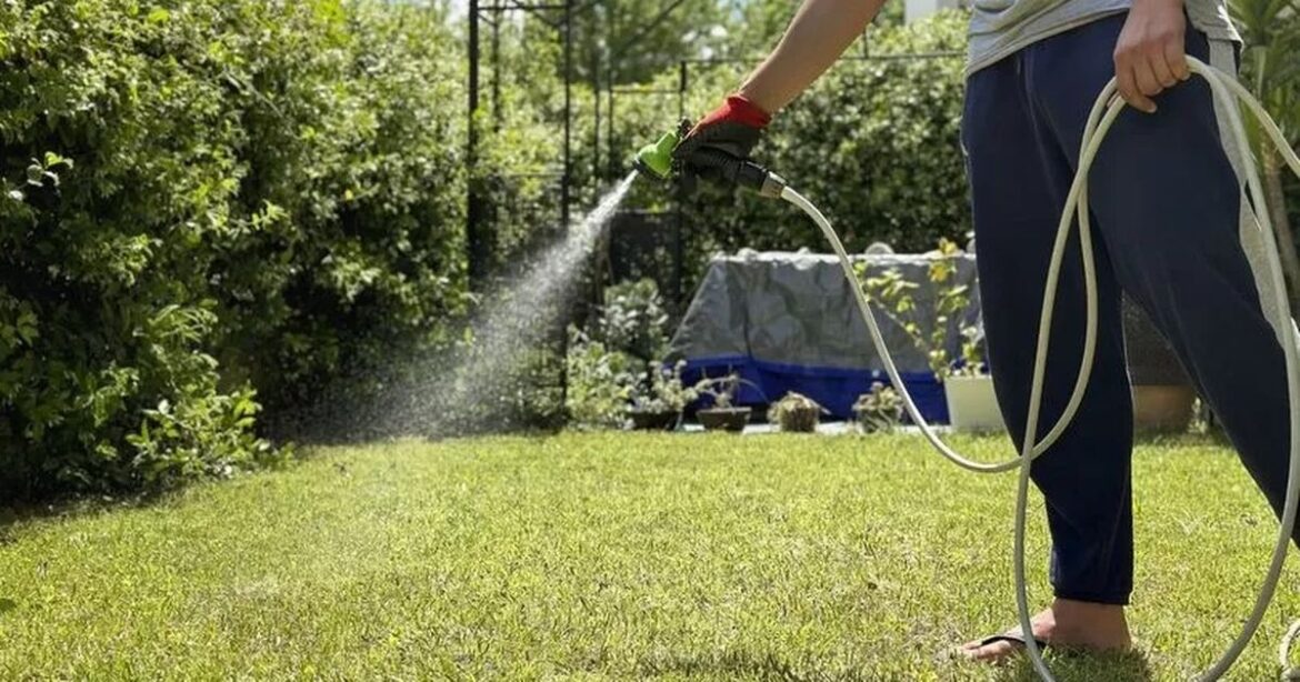 Amazon grass seed perfect for ‘patch repair and overseeding’ hailed by gardeners Ipso logo