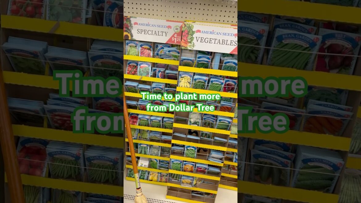DOLLAR TREE GARDENING SUPPLIES #gardening #dollartreehaul #garden DOLLAR TREE GARDENING SUPPLIES #gardening #dollartreehaul #garden