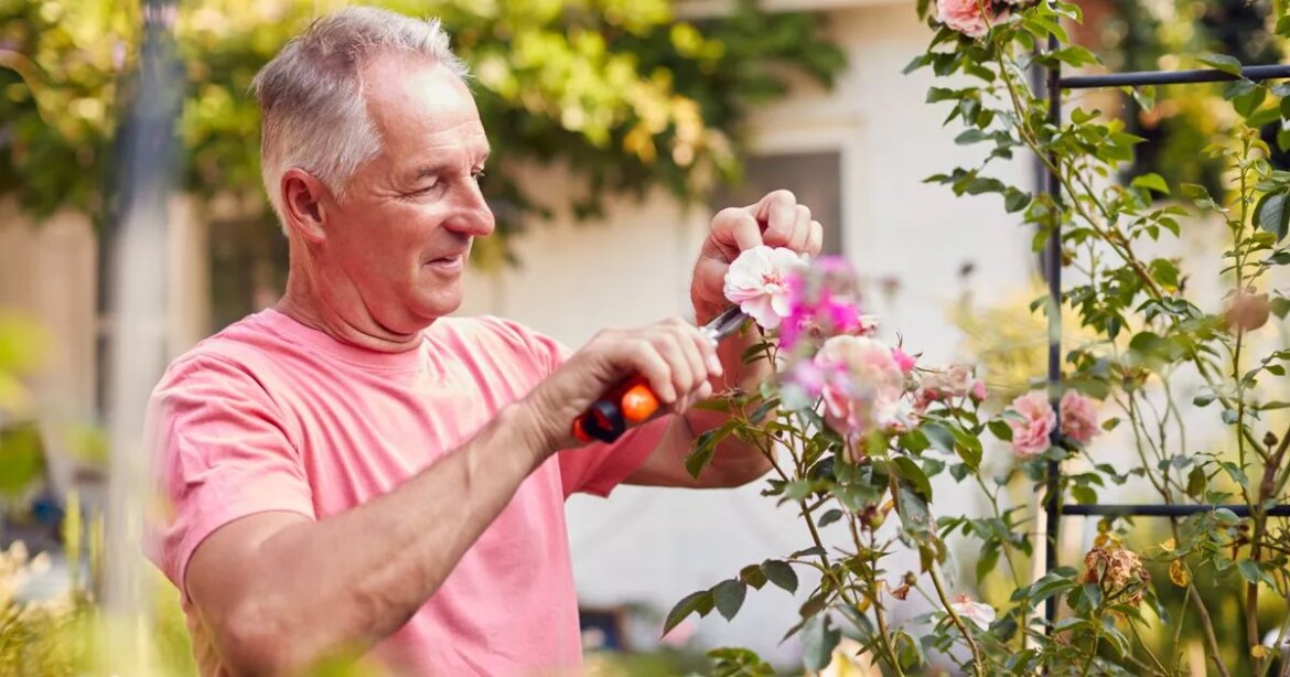 UK gardeners urged to do these five key gardening jobs in July Ipso logo