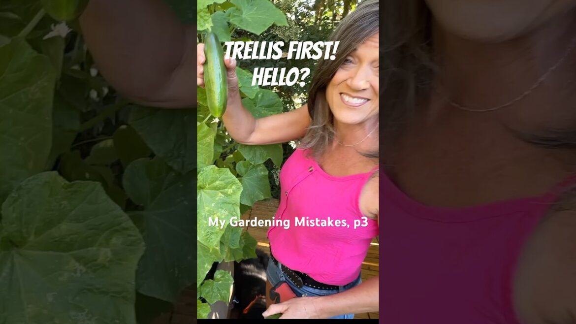 Trellis First Before it's a Mess