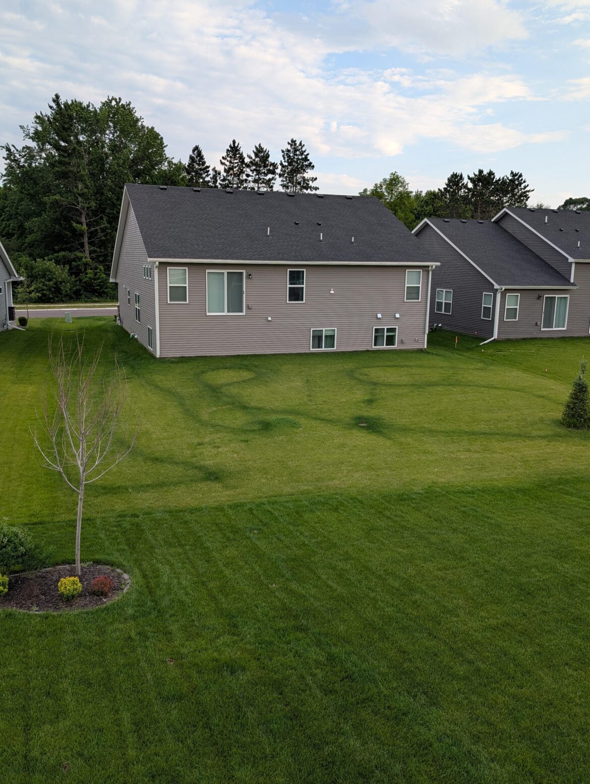 Poor guy just wanted to make the lawn a little more green 🥹