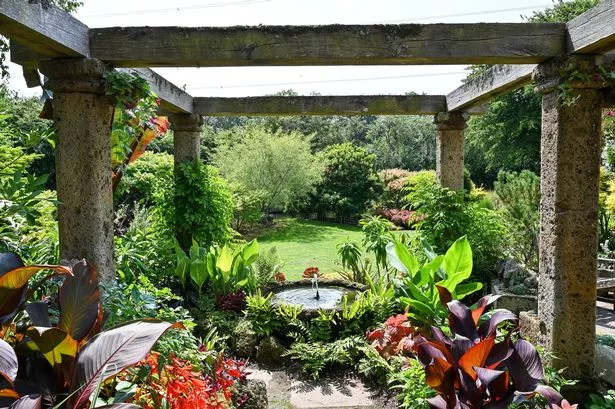 The garden is bursting with colourful plants
