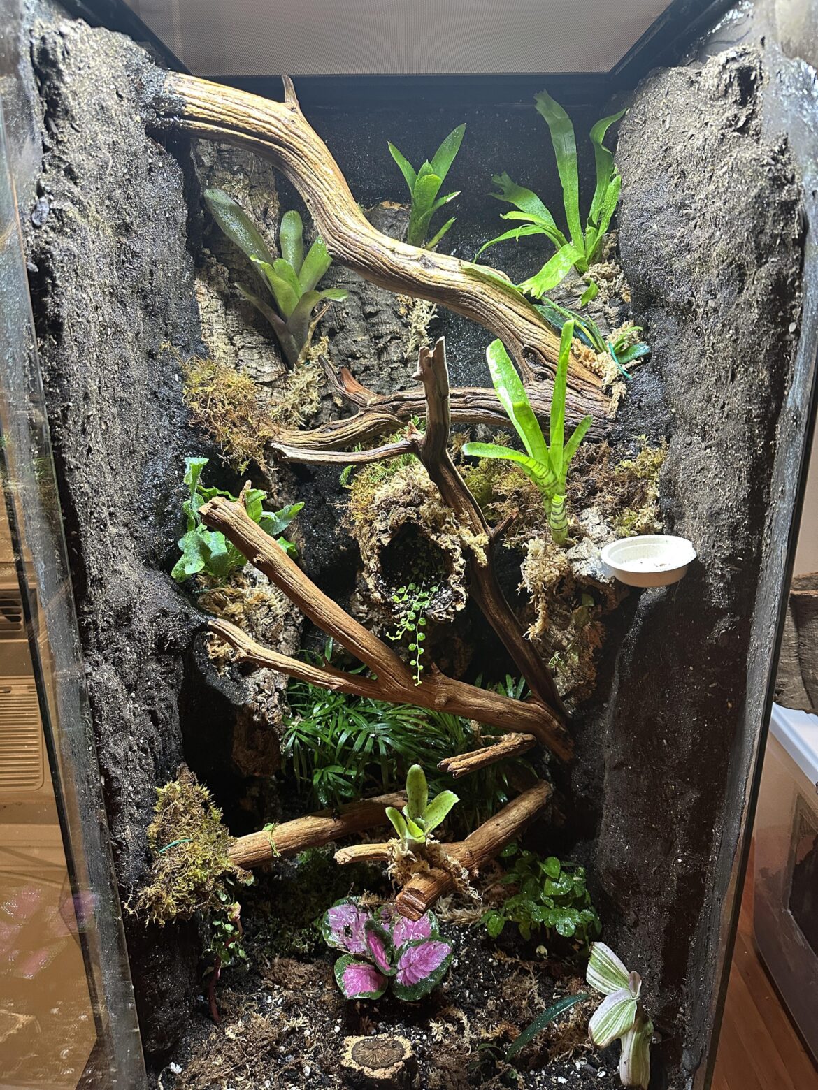 New 18x18x36 Viv