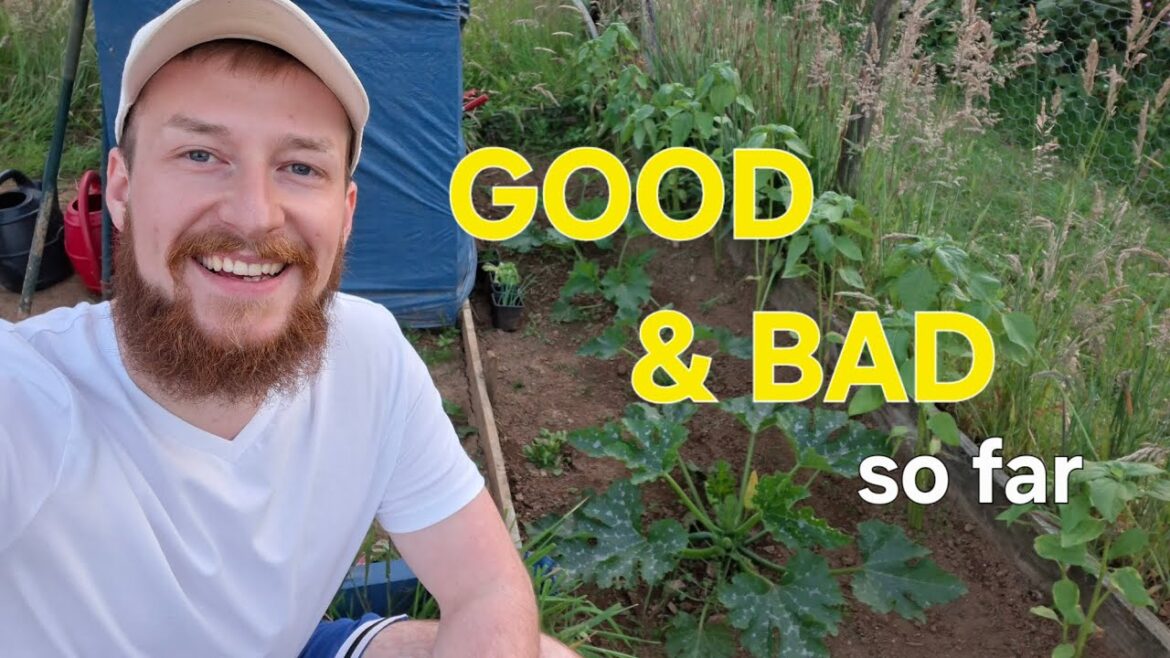 Good & Bad | Allotment This Year 2025