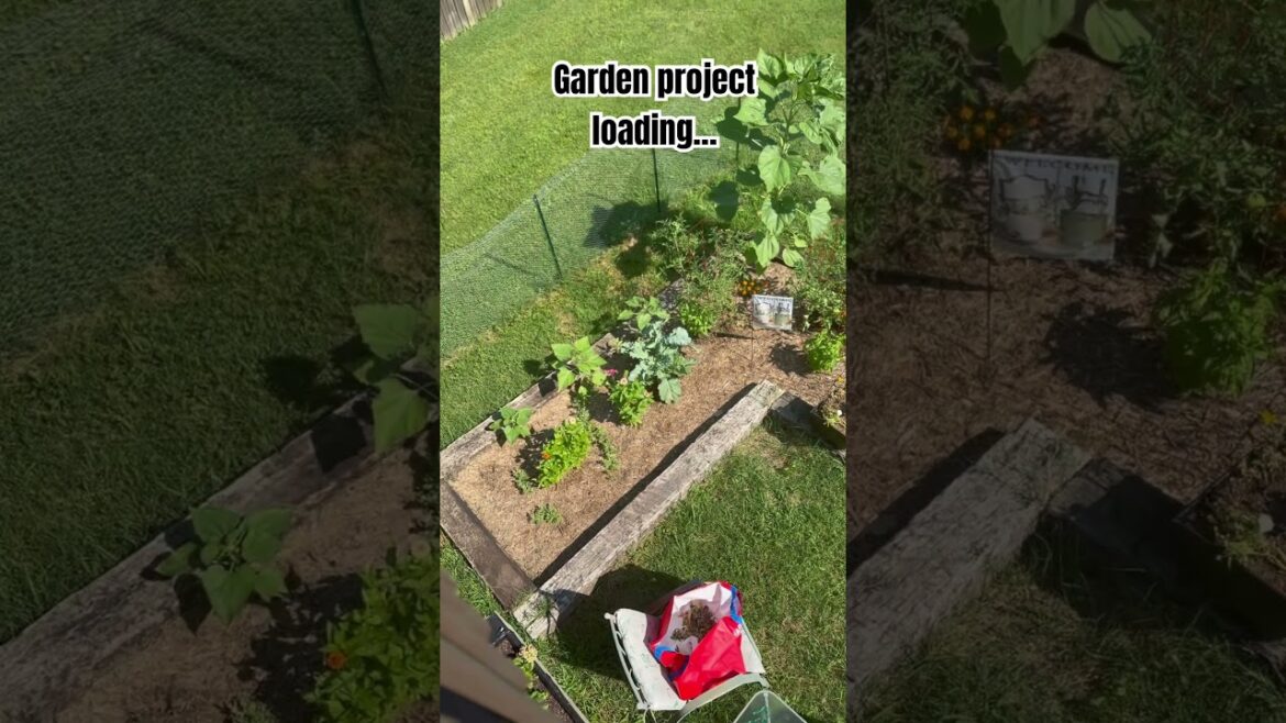 Small garden plans #gardening #gardentransformation #gardenmakeover #homeandgarden #lifestyle #vlog