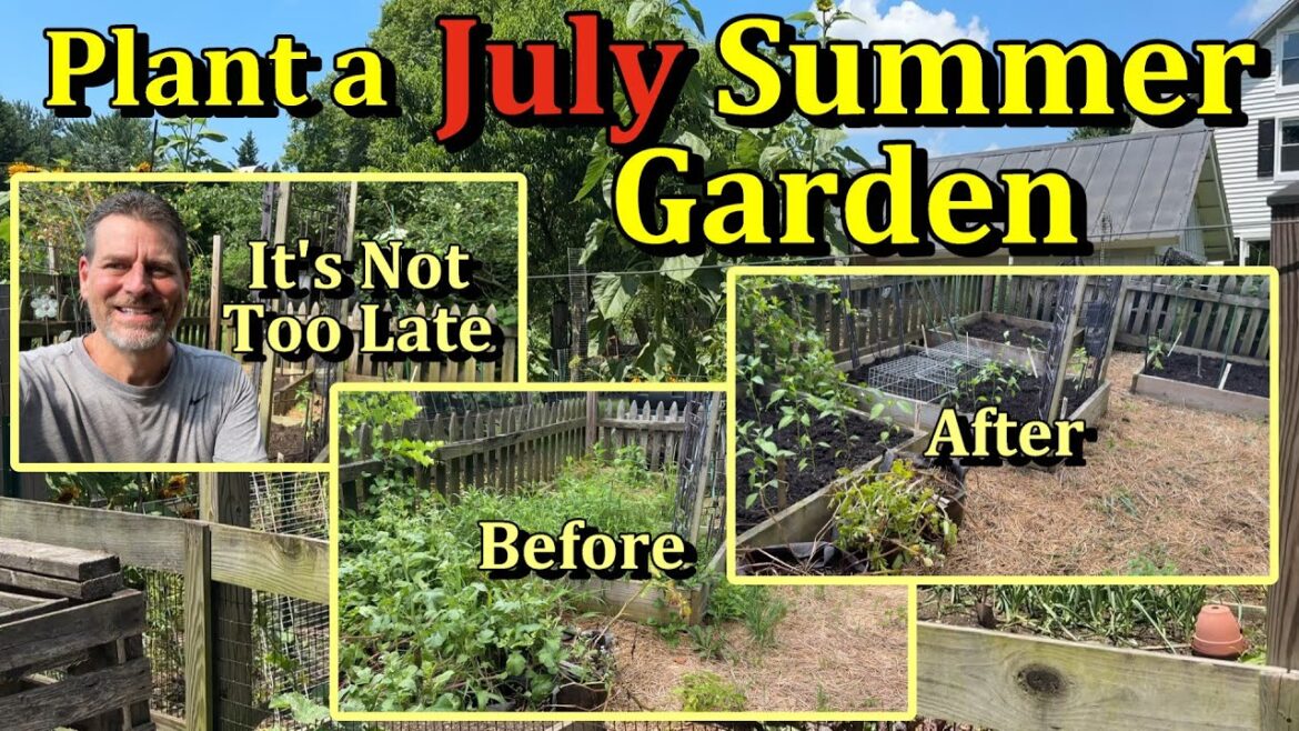 Gary Pilarchik: How to Start & Plant a Summer Garden in July (Build a Garden Anytime!) How to Start & Plant a Summer Garden in July (Build a Garden Anytime!)