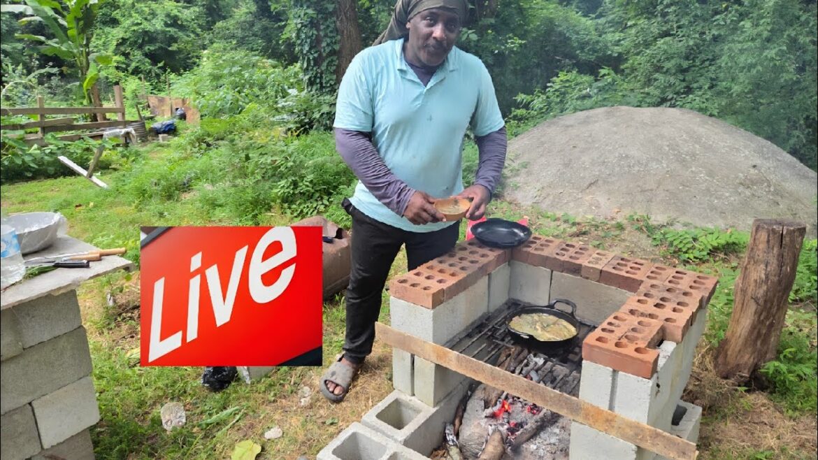 Living and Eating off the Grid,Organic gardening growing natural food