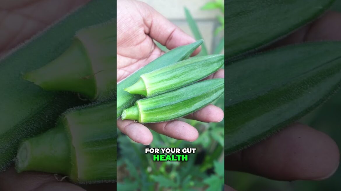 Okra: The Delicious Vegetable You NEED to Eat! 🌿 Health Benefits You Didn’t Know