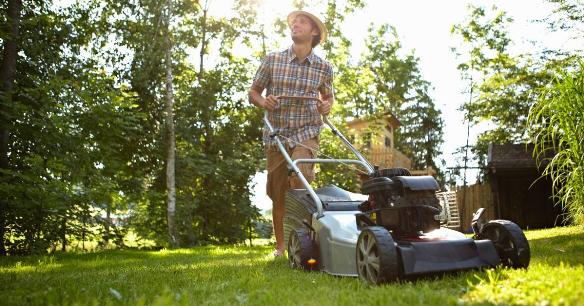 Gardeners told mowing lawn before specific date is ‘banned’ and could harm environment Ipso logo
