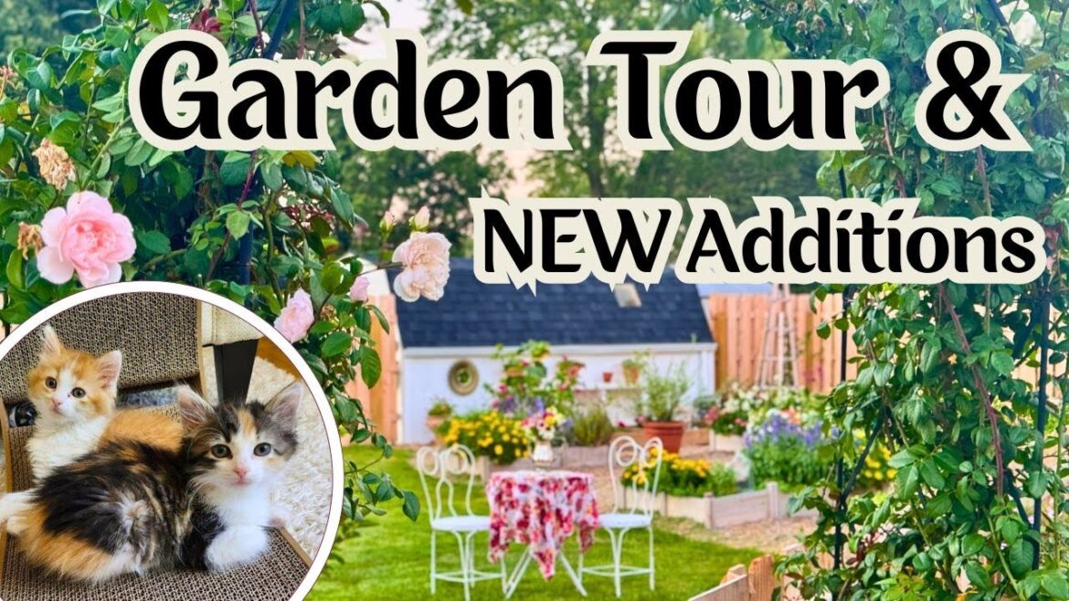 Cut Flower GARDEN TOUR and Meet the ADORABLE "new additions!"🌸