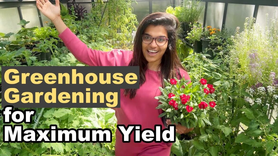 Greenhouse Gardening for Maximum Yield 🌱 | How I Grow Fruits, Veggies & Flowers Year Round