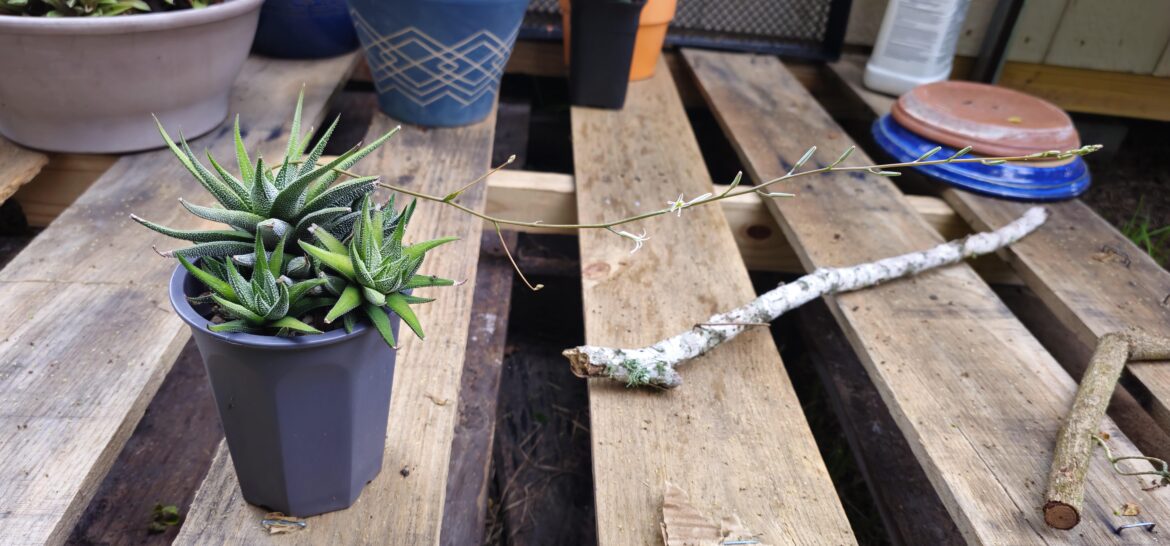 Another happy customer