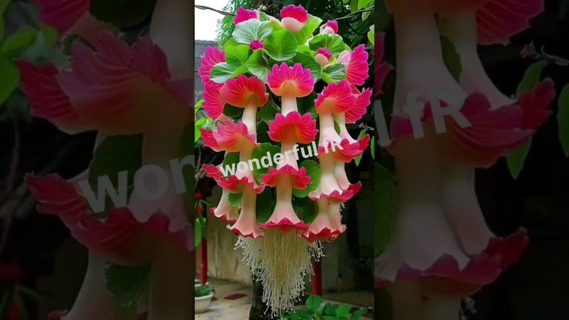 Beautiful flowers garden ।।design।।#ytshorts