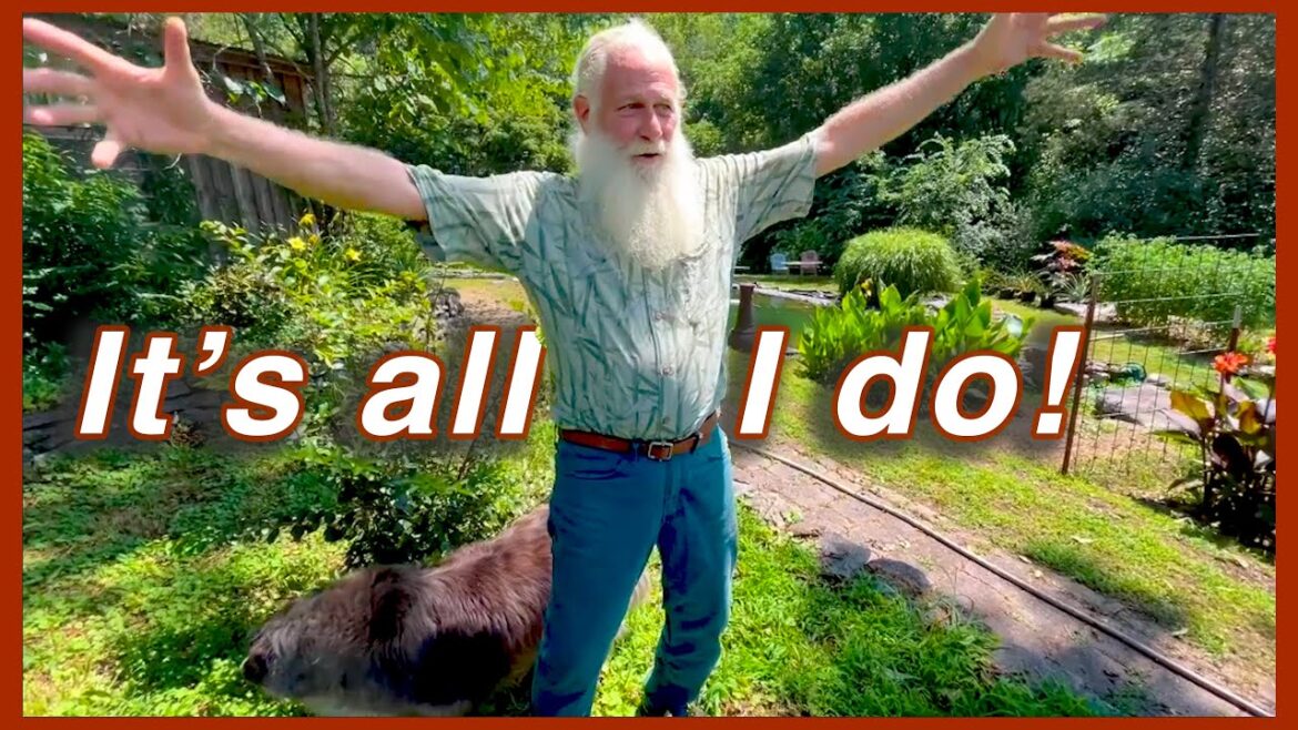 10 Signs YOU are a Garden Addict! Return to Bamboo Oasis!