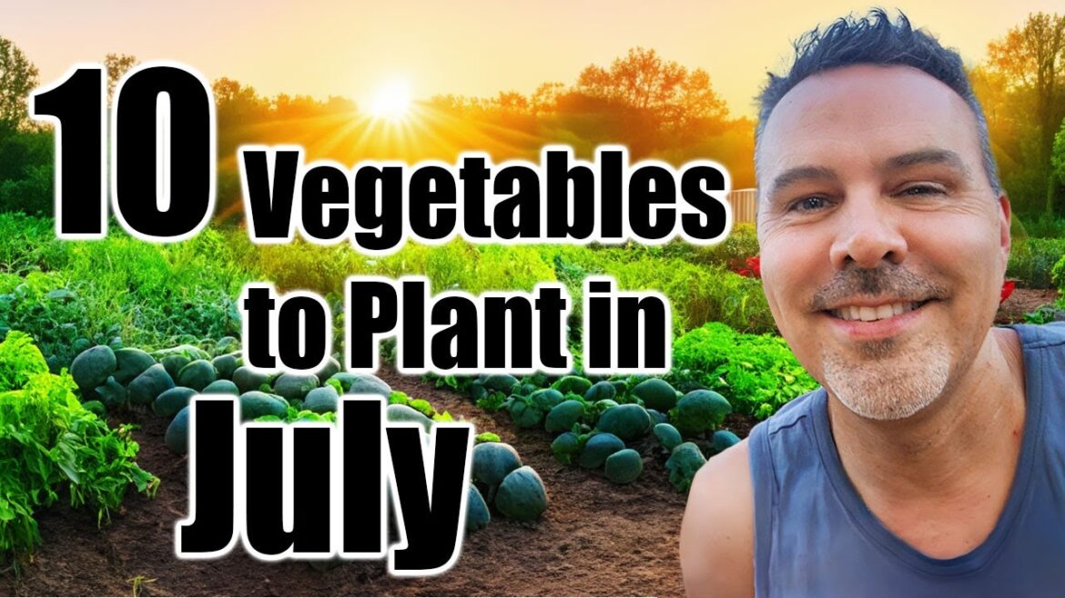 10 Crops to Direct Sow in July, Wherever You Live!