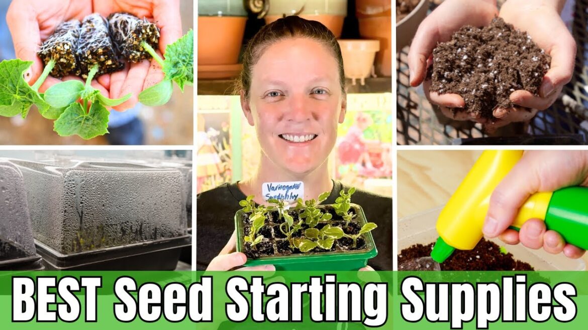 BEST Budget-Friendly SEED STARTING Supplies 🌱 | Easy & Affordable Tools for Seed Success! BEST Budget-Friendly SEED STARTING Supplies 🌱 | Easy & Affordable Tools for Seed Success!