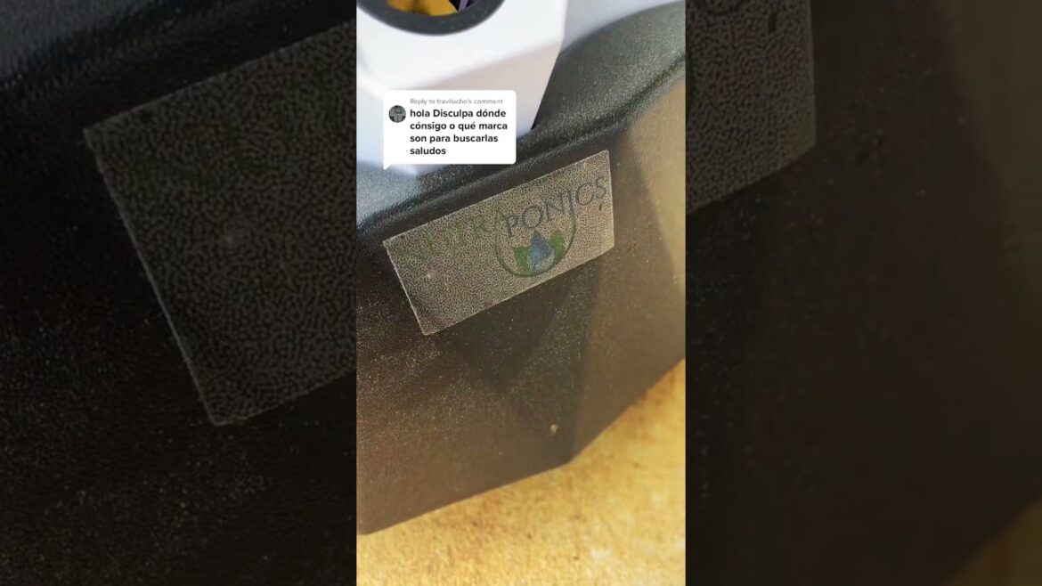 Explore Hydroponic & Aeroponic Gardening Trends