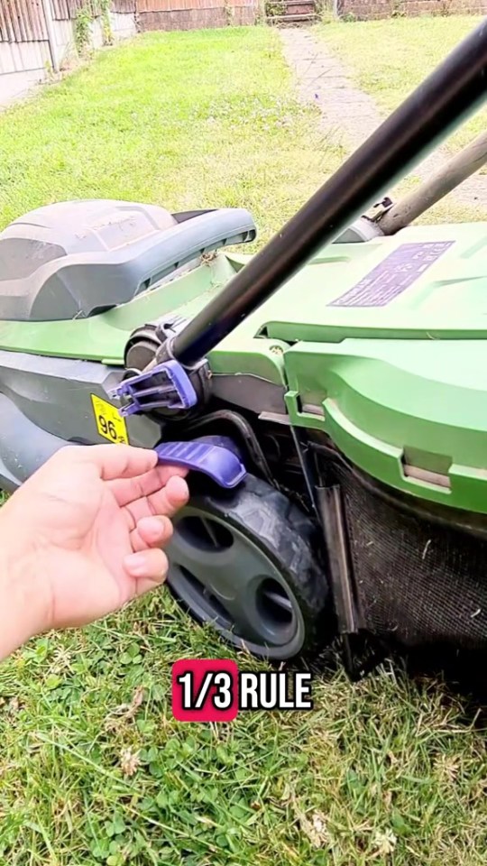 Person adjusting the height of a lawnmower.
