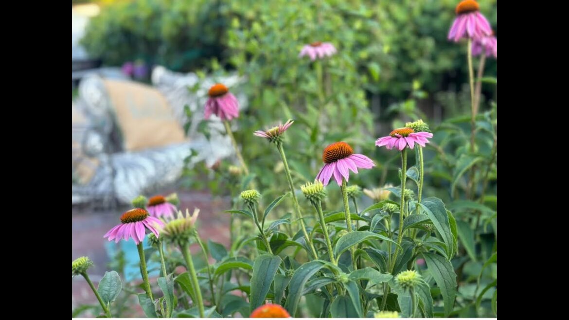 Full June Garden Tour Full June Garden Tour