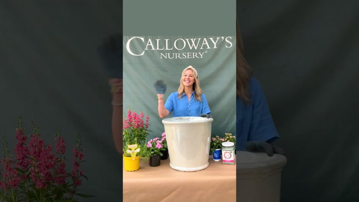 Summer Container Garden Idea #1 - Sun