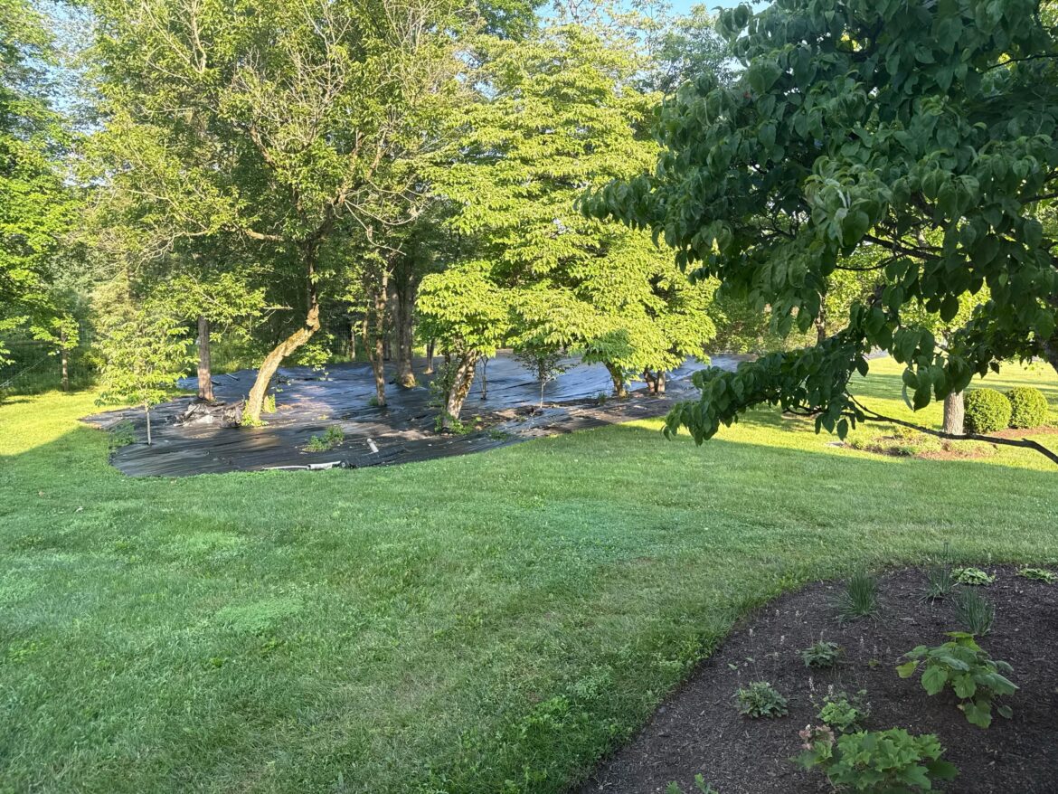 Converting half an acre, next steps?