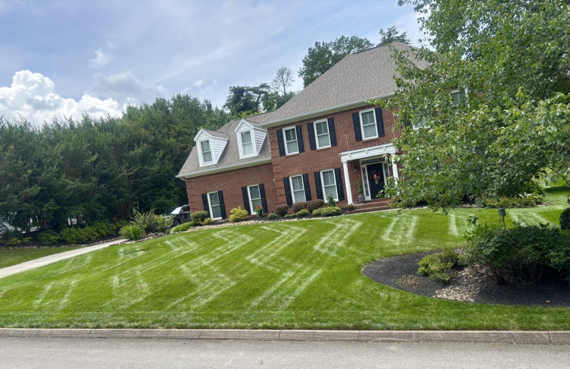 Customer requested zig zag stripes in their lawn for the 4th. I thought it turned out decent! [East TN]