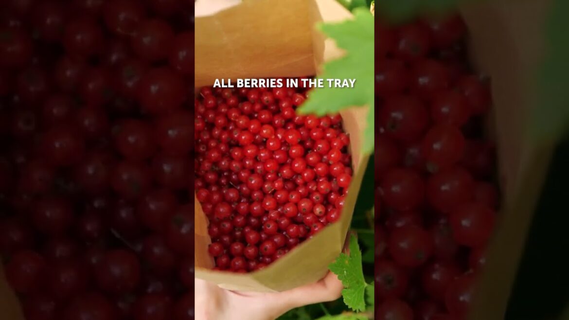 Smart plant hacks to improve your garden skills Smart plant hacks to improve your garden skills