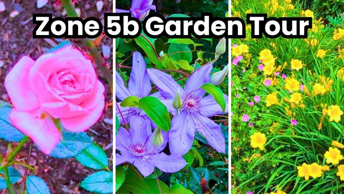 July Garden Tour || Budget Gardening July Garden Tour || Budget Gardening