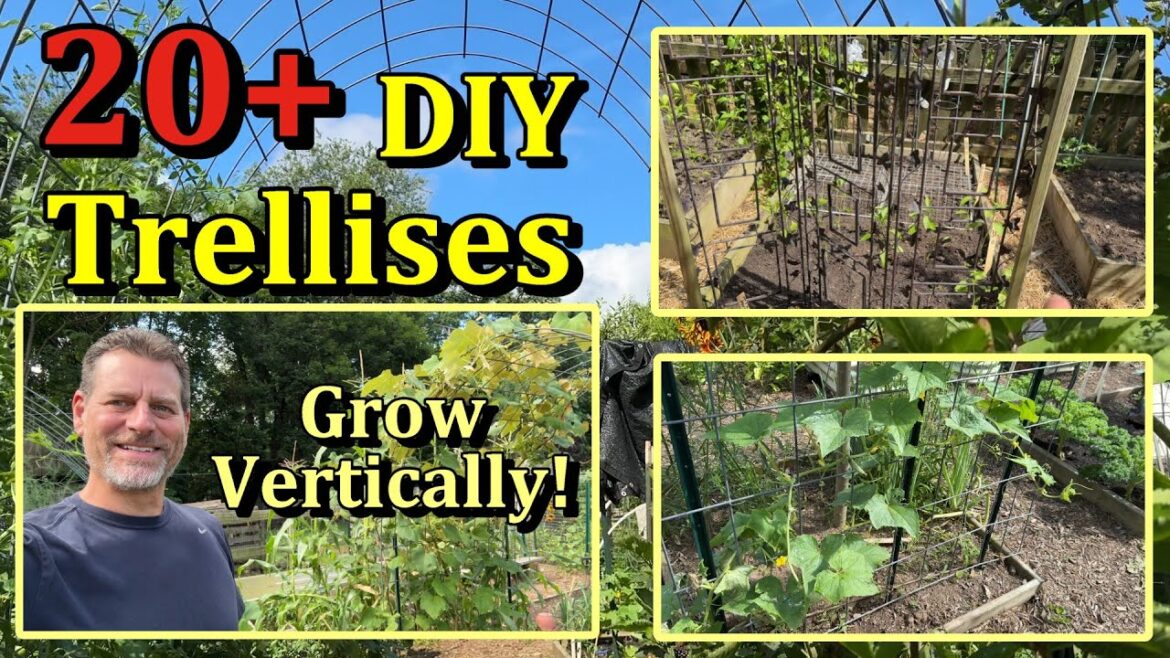 Gary Pilarchik: 20+ DIY Vegetable Garden Trellises You Can Build  (Grow Vertically & Growth Examples) 20+ DIY Vegetable Garden Trellises You Can Build  (Grow Vertically & Growth Examples)