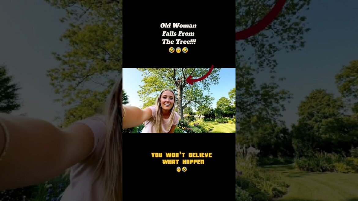 Grandma vs. Gravity (Gravity Won) #ai #funny #youtubeshorts