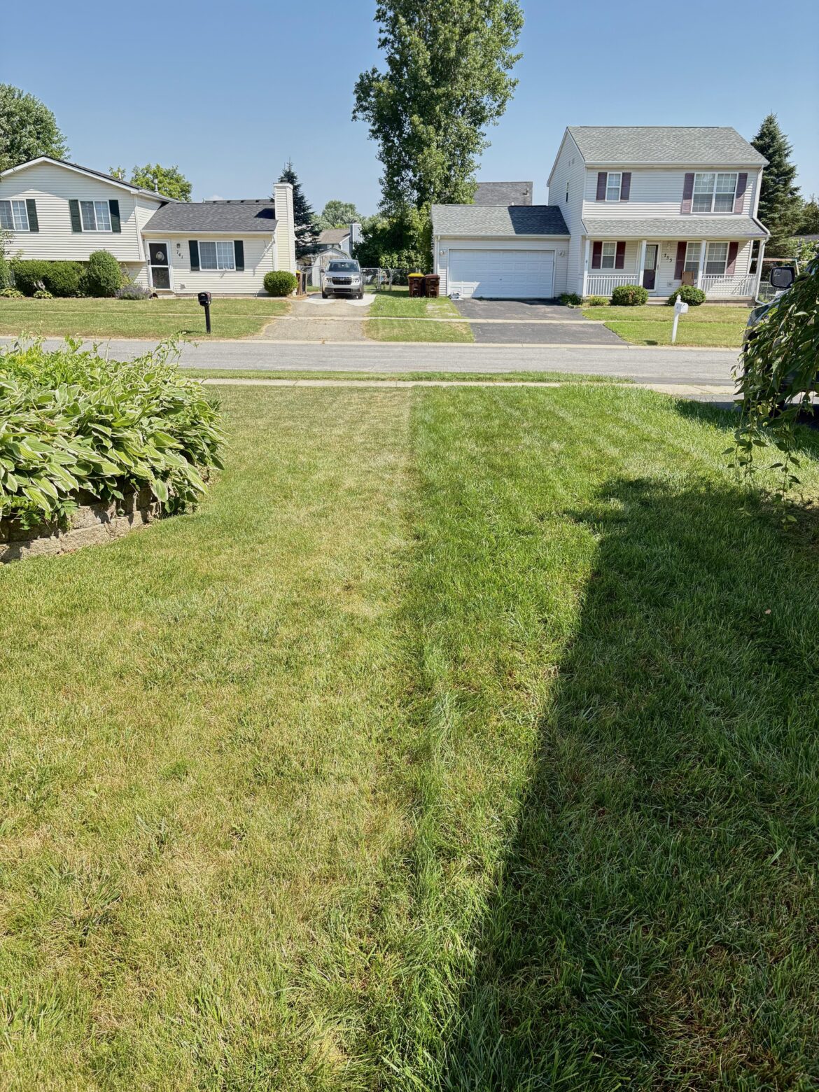 Mowing high vs. mowing low Mowing high vs. mowing low