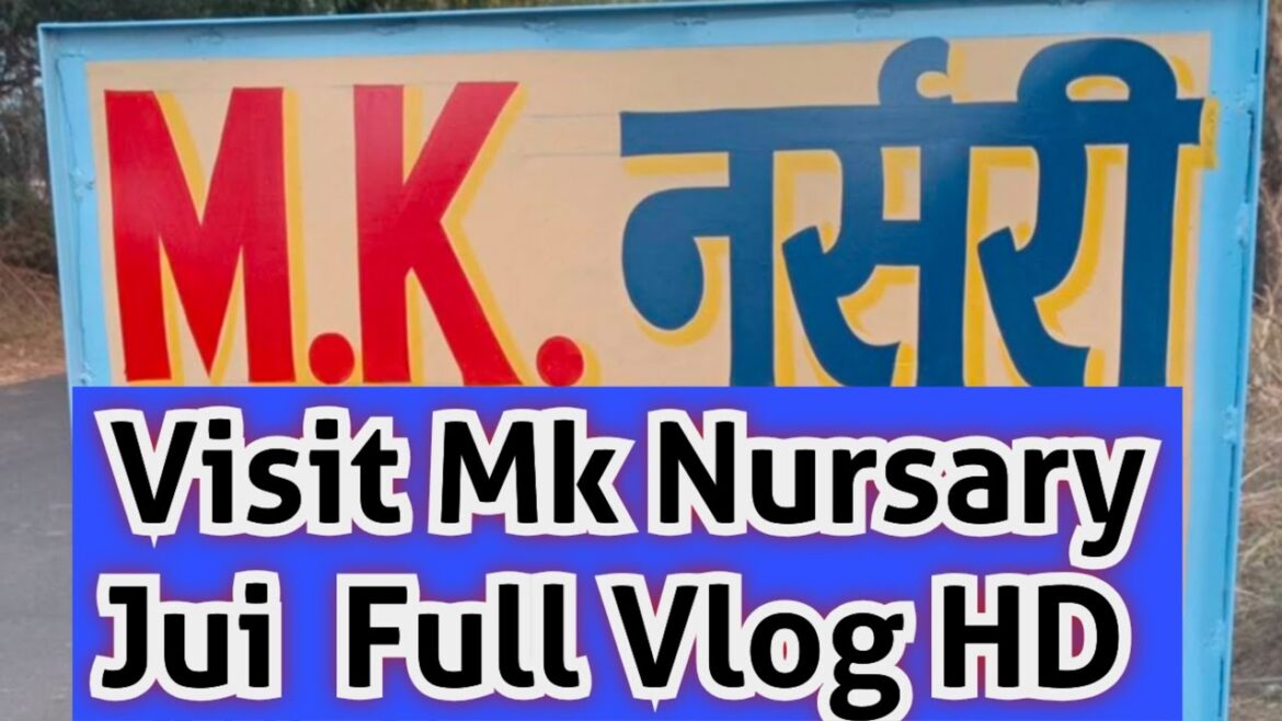 Visit Mk Nursary Jui Full Vlog HD video | Mk Garding and Farming #nature #garden #gardening #farming