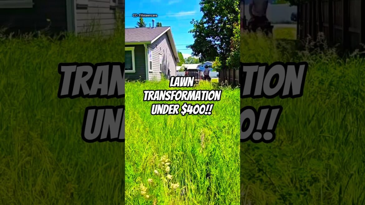 $400 Lawn Transformation That Changed Everything 👀 | Satisfying Lawn Care 😍 $400 Lawn Transformation That Changed Everything 👀 | Satisfying Lawn Care 😍