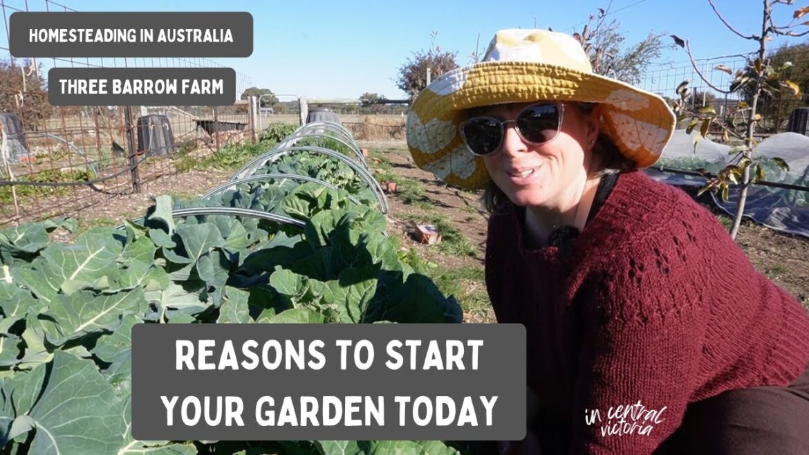 Why You Should Garden! Homesteading & Vegetable Gardening in Victoria, Australia Zone 9B Why You Should Garden! Homesteading & Vegetable Gardening in Victoria, Australia Zone 9B